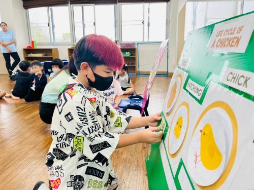 LINE ALBUM Chicken-Life-Cycle-T.Micha 240321 37
